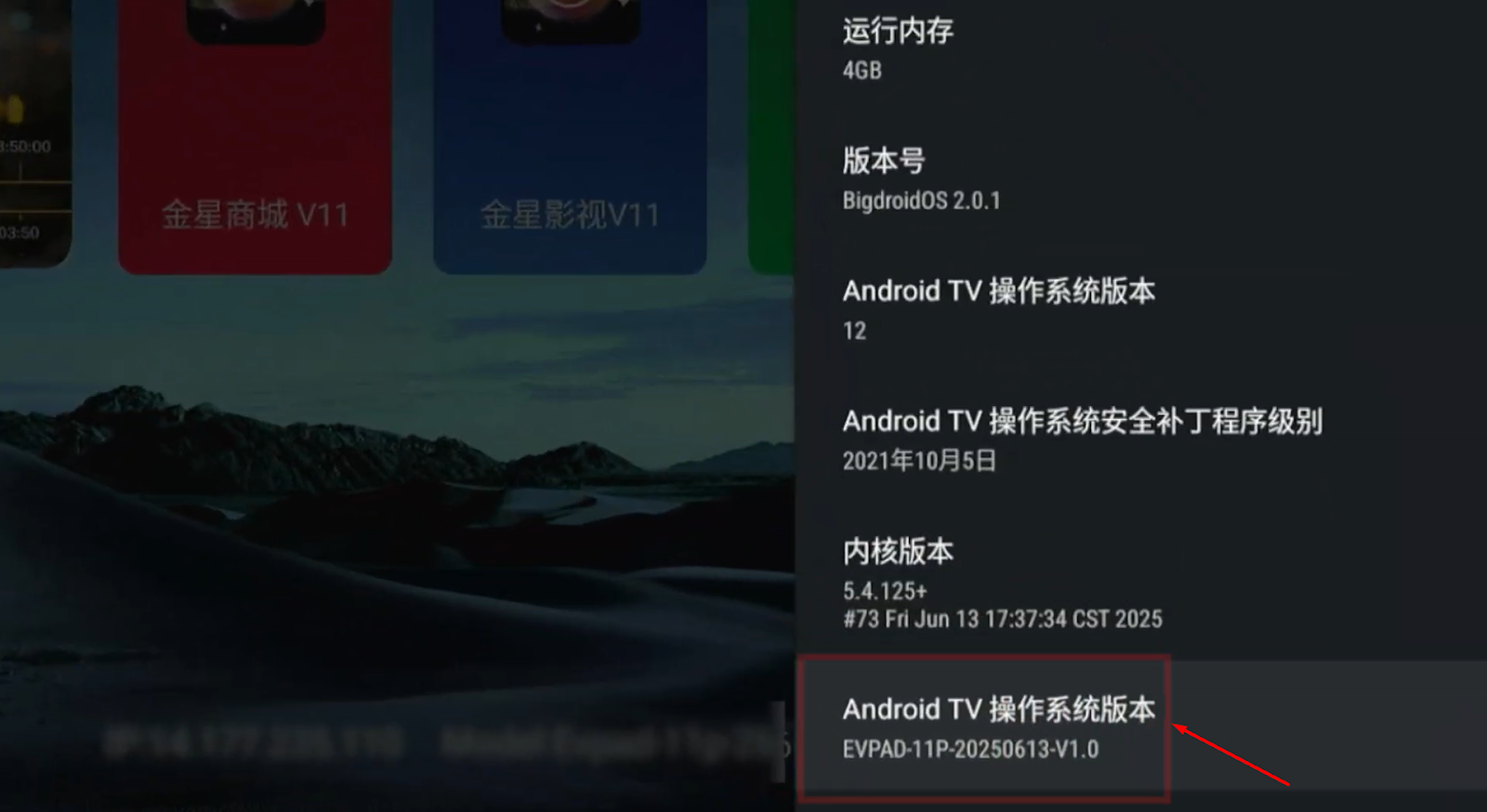 查看 Android TV 操作系統版本畫面